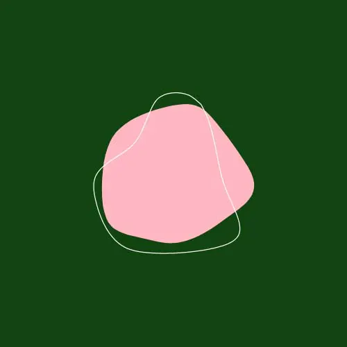 Your Doula Lily logo